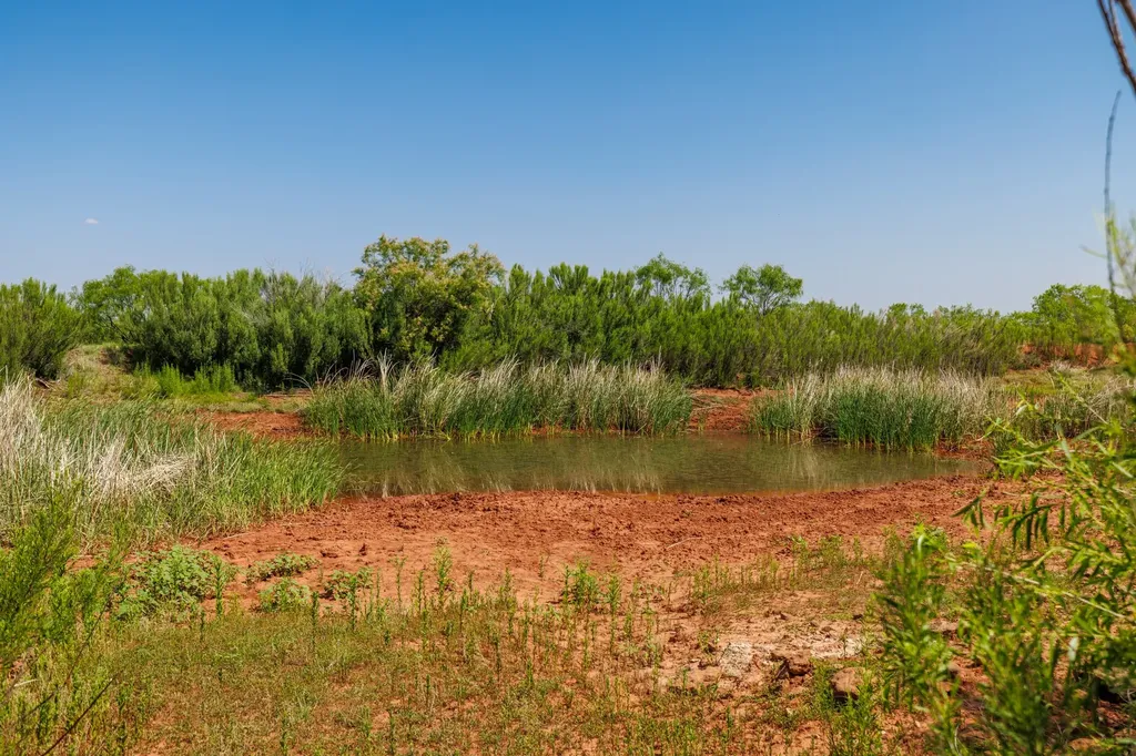Tbd 179 County Road 161 Trent TX 79561