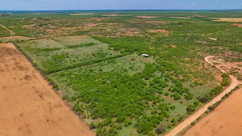 Tbd 179 County Road 161 Trent TX 79561