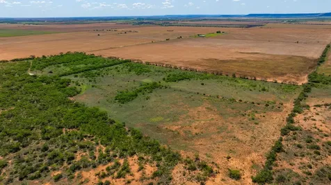 Tbd 179 County Road 161 Trent TX 79561