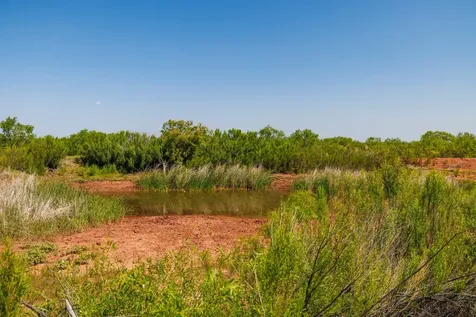 Tbd 179 County Road 161 Trent TX 79561
