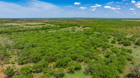 Tbd 179 County Road 161 Trent TX 79561