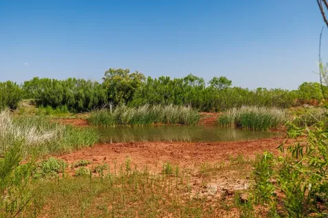 Tbd 179 County Road 161 Trent TX 79561