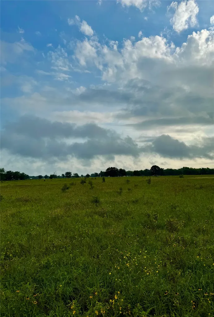 6655 County Road 118 Kaufman TX 75142
