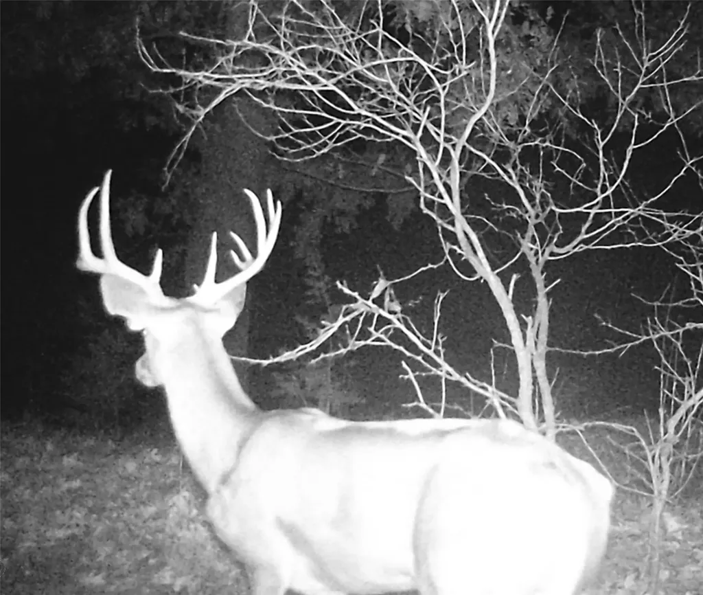 1690 County Road 530 Evant TX 76525