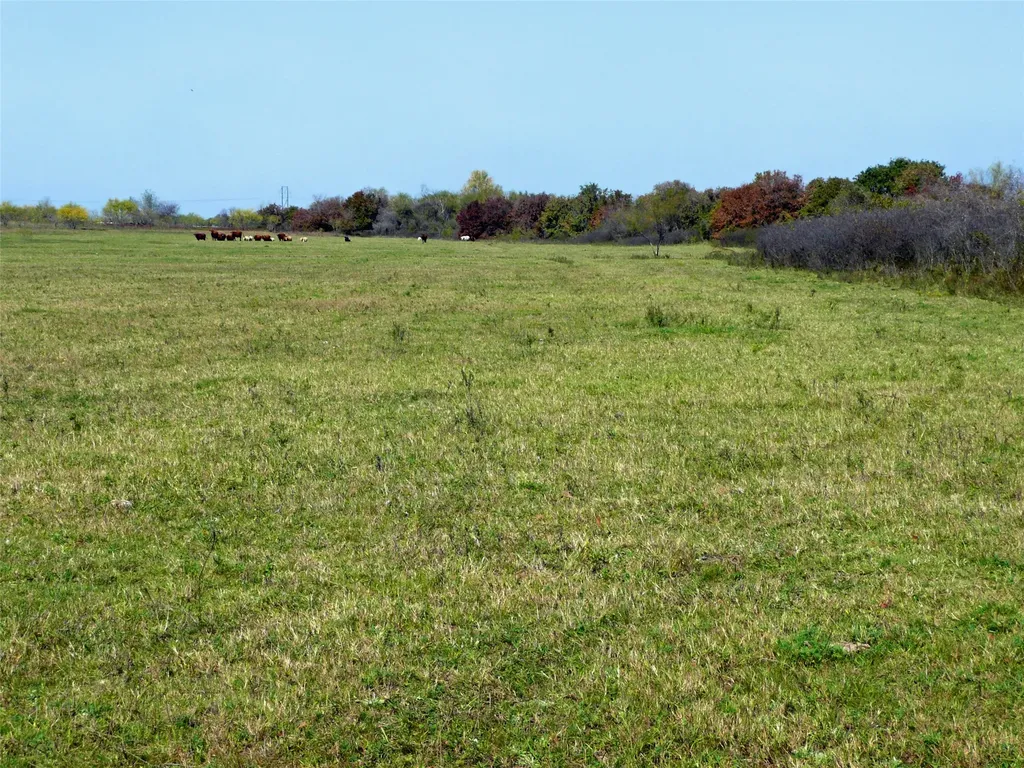 Tbd County Road 300 Dublin TX 76446