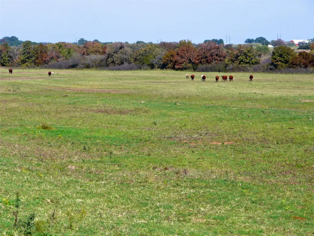 Tbd County Road 300 Dublin TX 76446