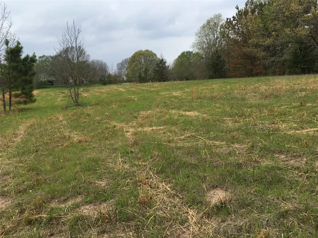 1140 Cr 1712 Grand Saline TX 75140