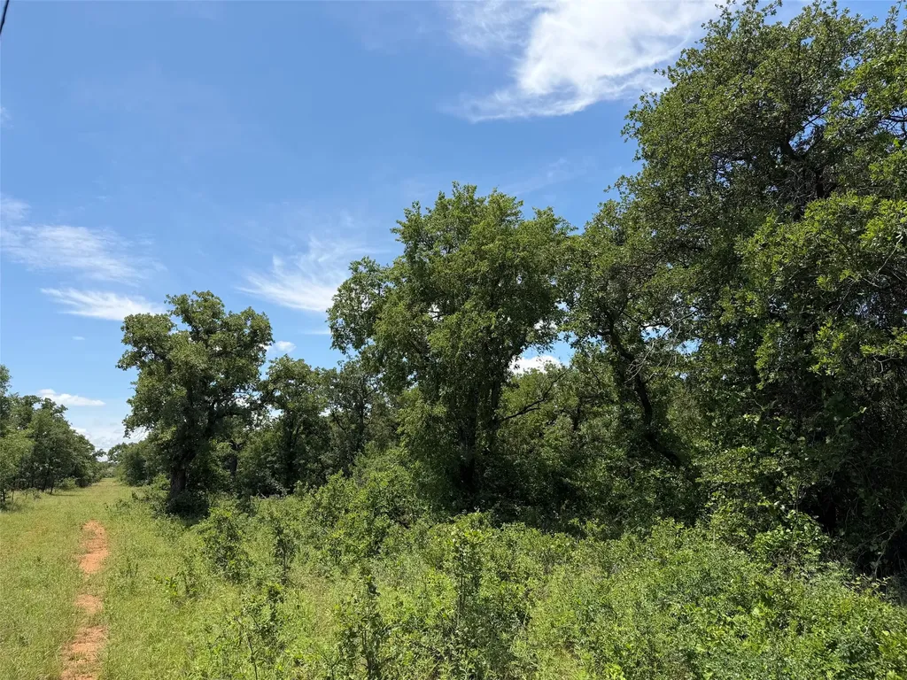 0000 Rux Road Newcastle TX 76372