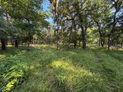 449 Private Road 4670 Boyd TX 76023