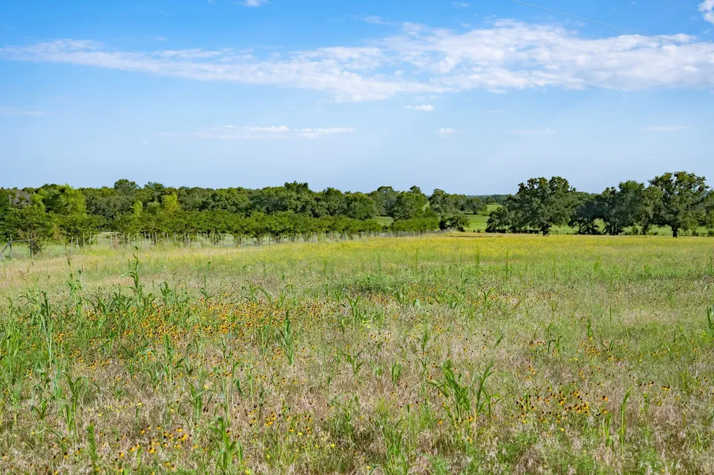 923 Natty Flat Road Lipan TX 76462