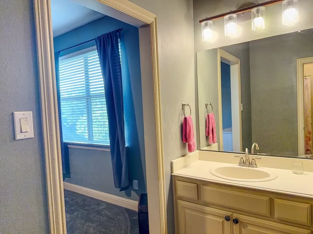 1401 Luckenbach Drive Allen TX 75013