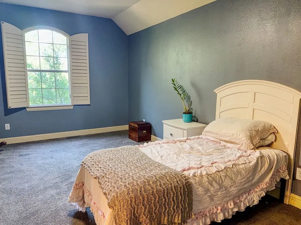 1401 Luckenbach Drive Allen TX 75013