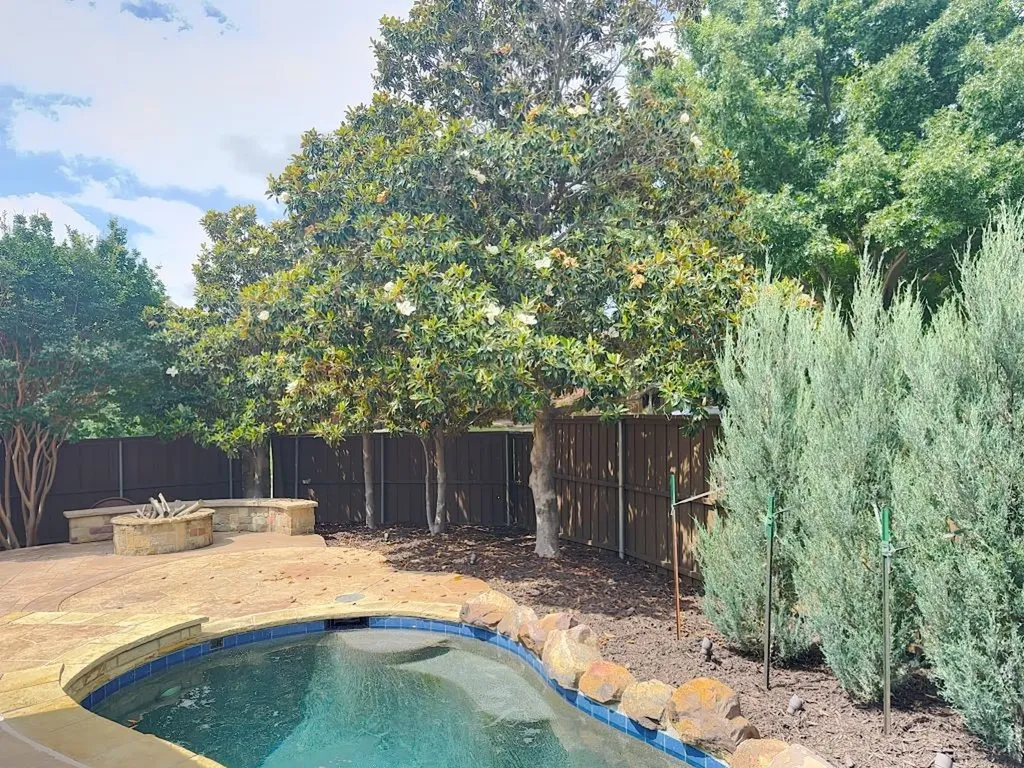1401 Luckenbach Drive Allen TX 75013