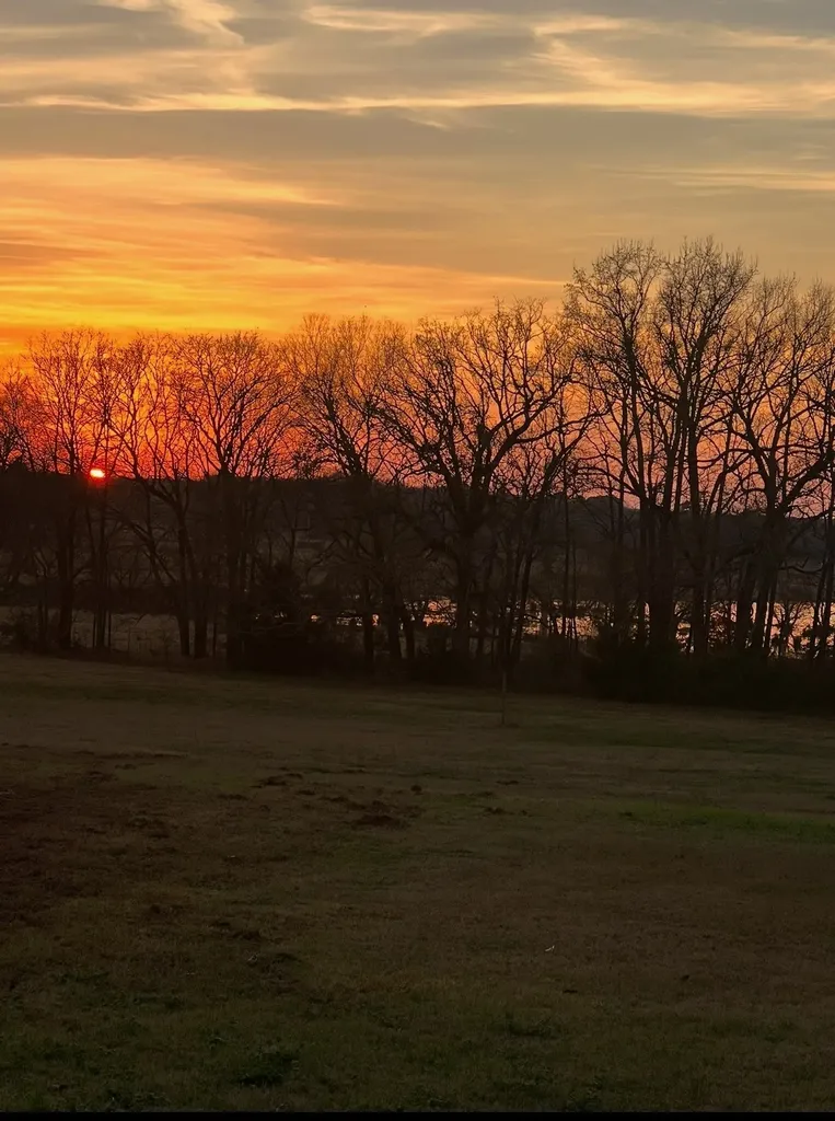 1122 County Road 3750 Hawkins TX 75765