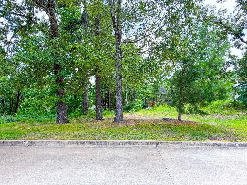 2807 J Cupit Court Tyler TX 75709