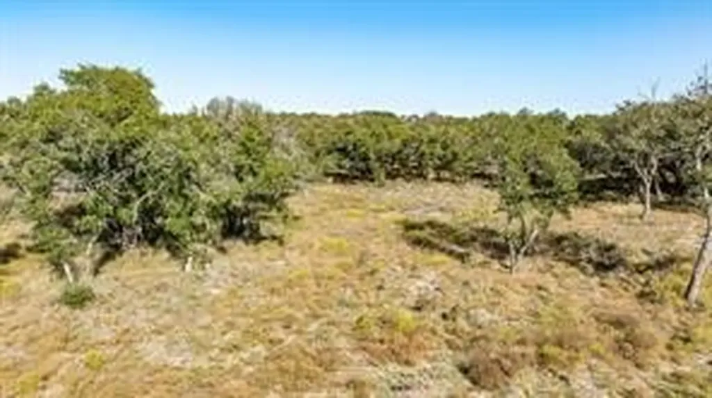 Lot 12 Pecan Valley Drive Energy TX 76452