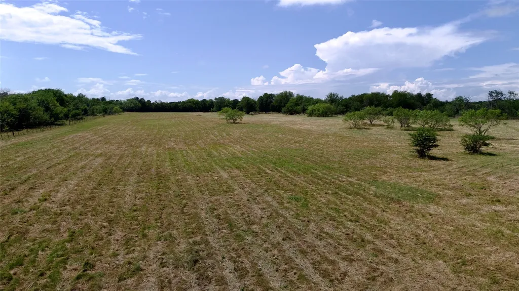 168+/- Acres Sh-14 Wortham TX 76681