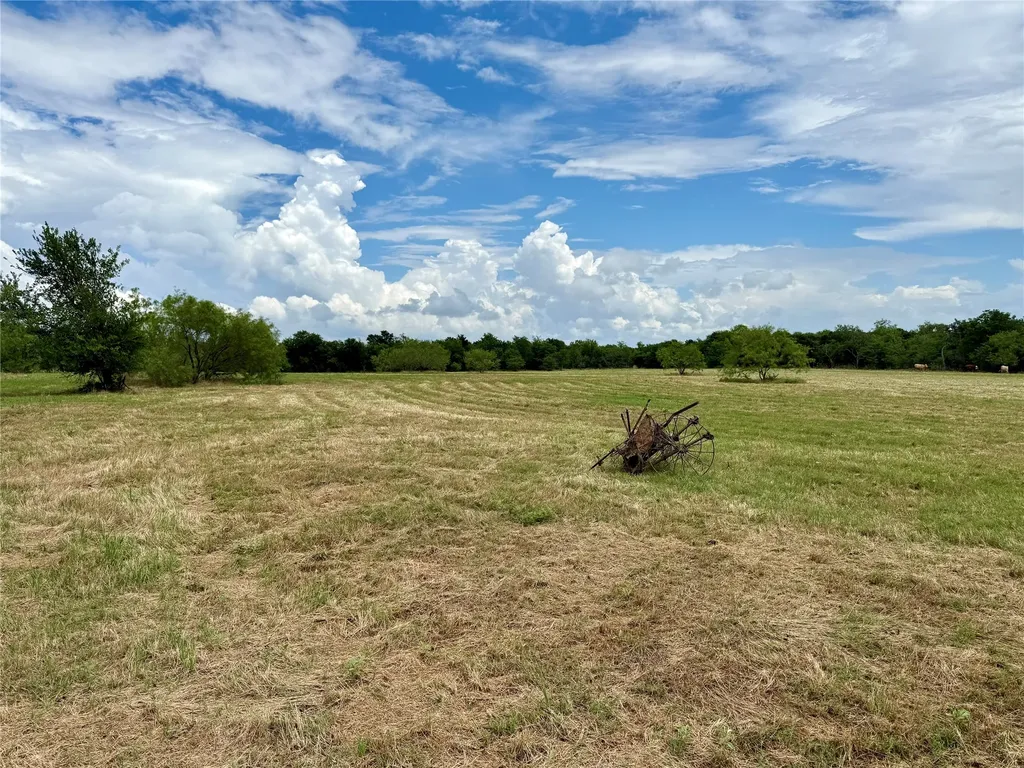 168+/- Acres Sh-14 Wortham TX 76681