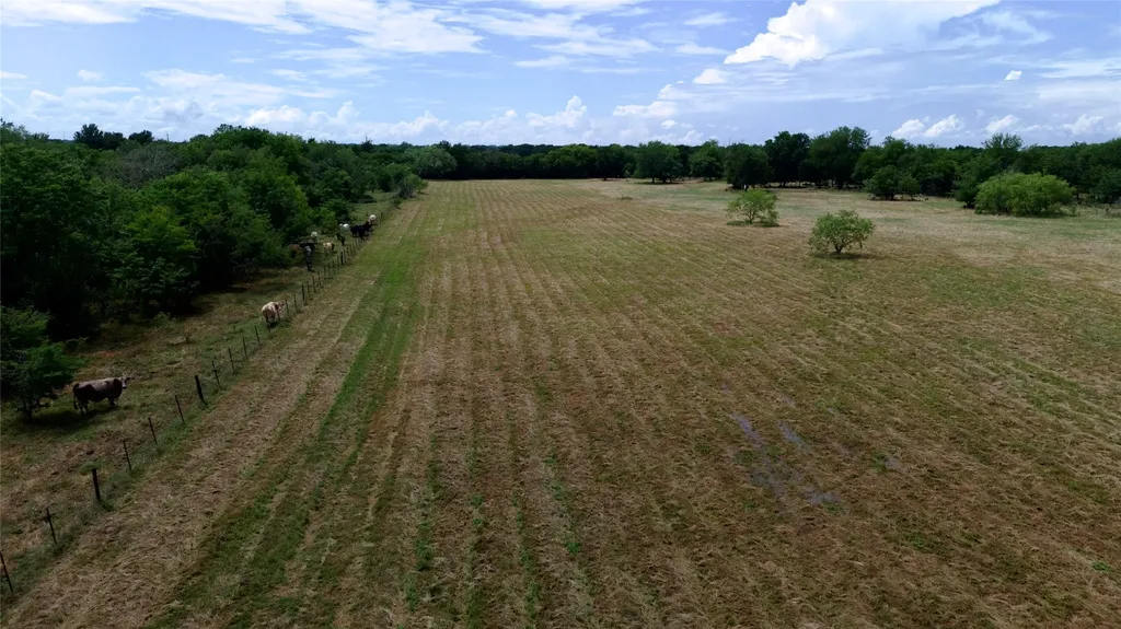 168+/- Acres Sh-14 Wortham TX 76681
