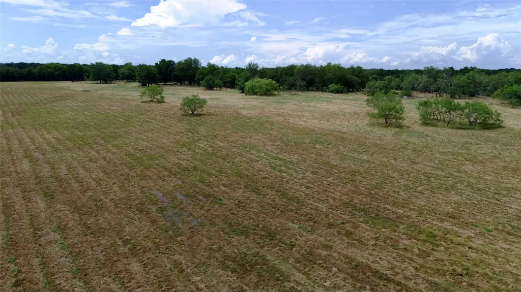 168+/- Acres Sh-14 Wortham TX 76681