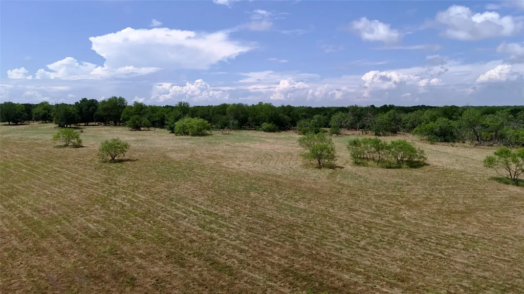 168+/- Acres Sh-14 Wortham TX 76681