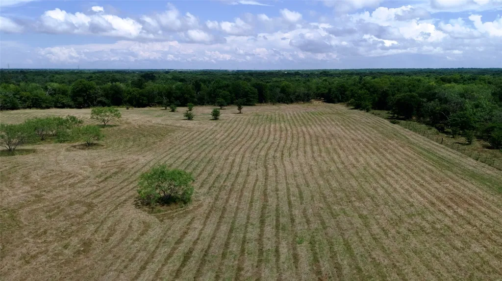 168+/- Acres Sh-14 Wortham TX 76681