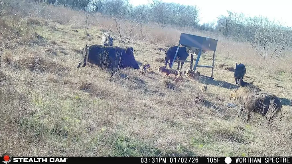 168+/- Acres Sh-14 Wortham TX 76681