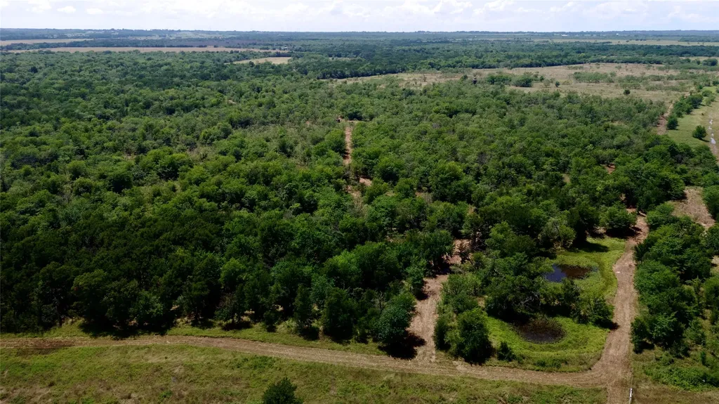 168+/- Acres Sh-14 Wortham TX 76681