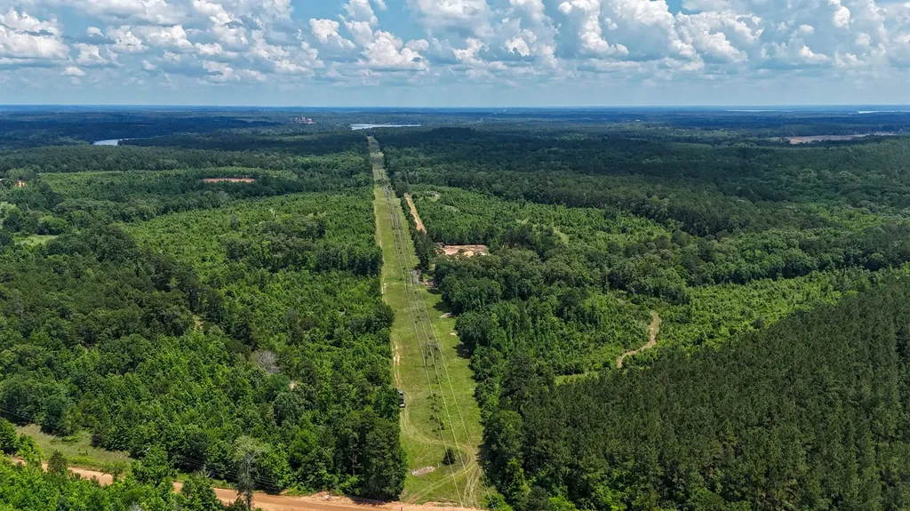 000 Avinger Cutoff Road Avinger TX 75630