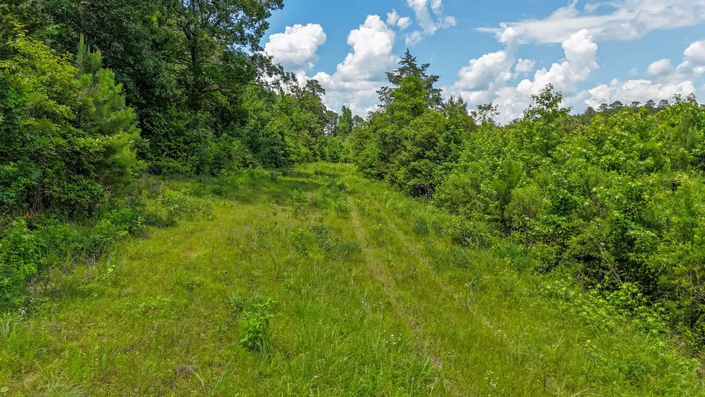 000 Avinger Cutoff Road Avinger TX 75630