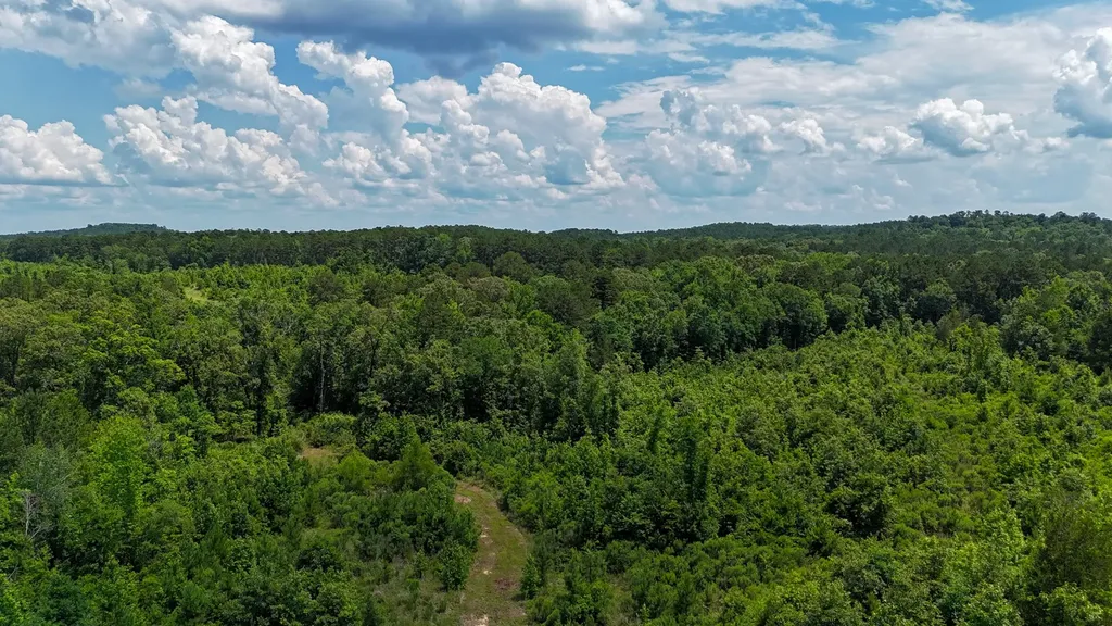 000 Avinger Cutoff Road Avinger TX 75630