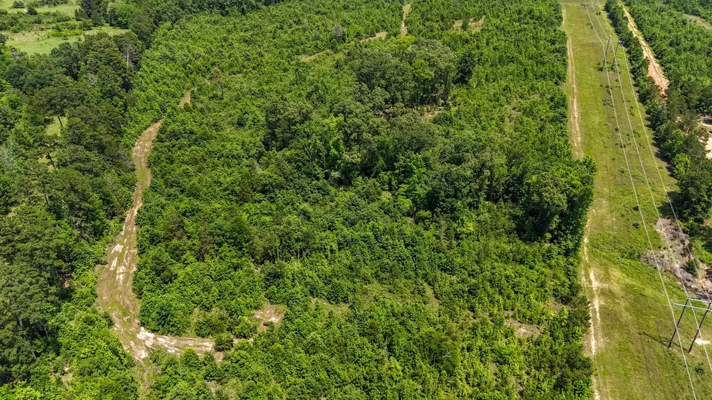 000 Avinger Cutoff Road Avinger TX 75630