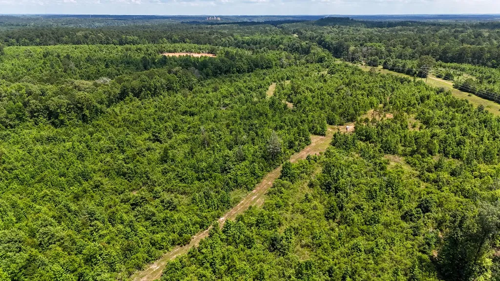 000 Avinger Cutoff Road Avinger TX 75630
