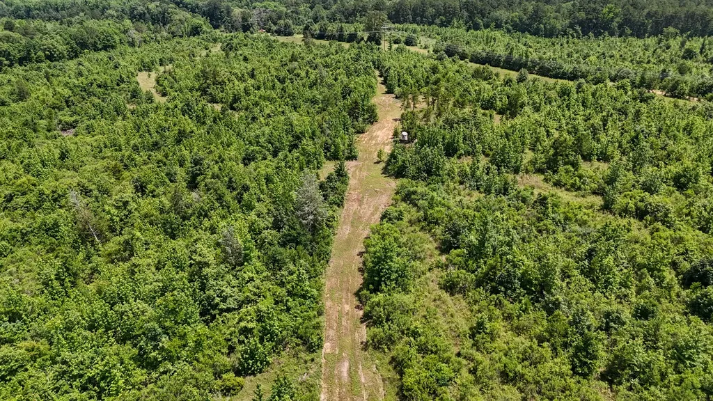 000 Avinger Cutoff Road Avinger TX 75630