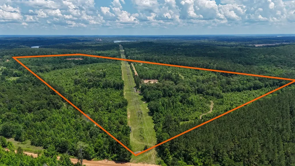 000 Avinger Cutoff Road Avinger TX 75630