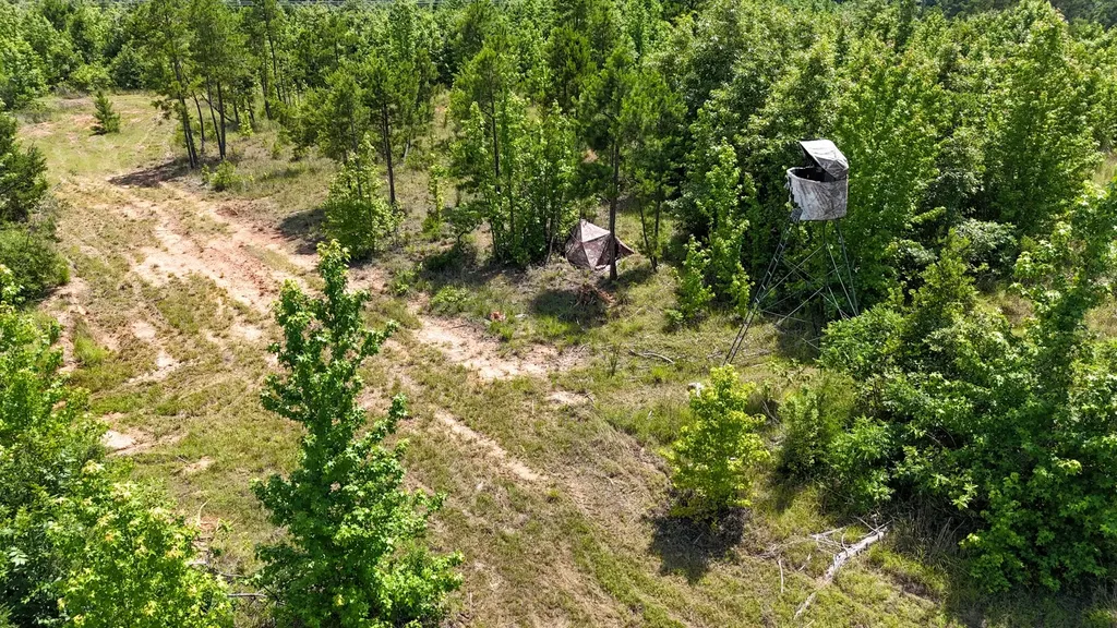 000 Avinger Cutoff Road Avinger TX 75630