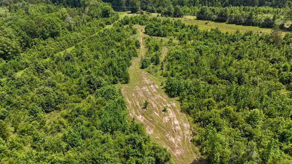 000 Avinger Cutoff Road Avinger TX 75630