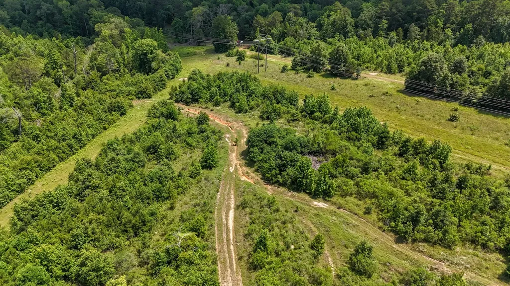 000 Avinger Cutoff Road Avinger TX 75630