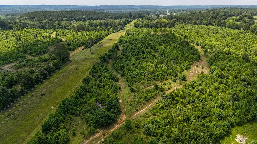 000 Avinger Cutoff Road Avinger TX 75630