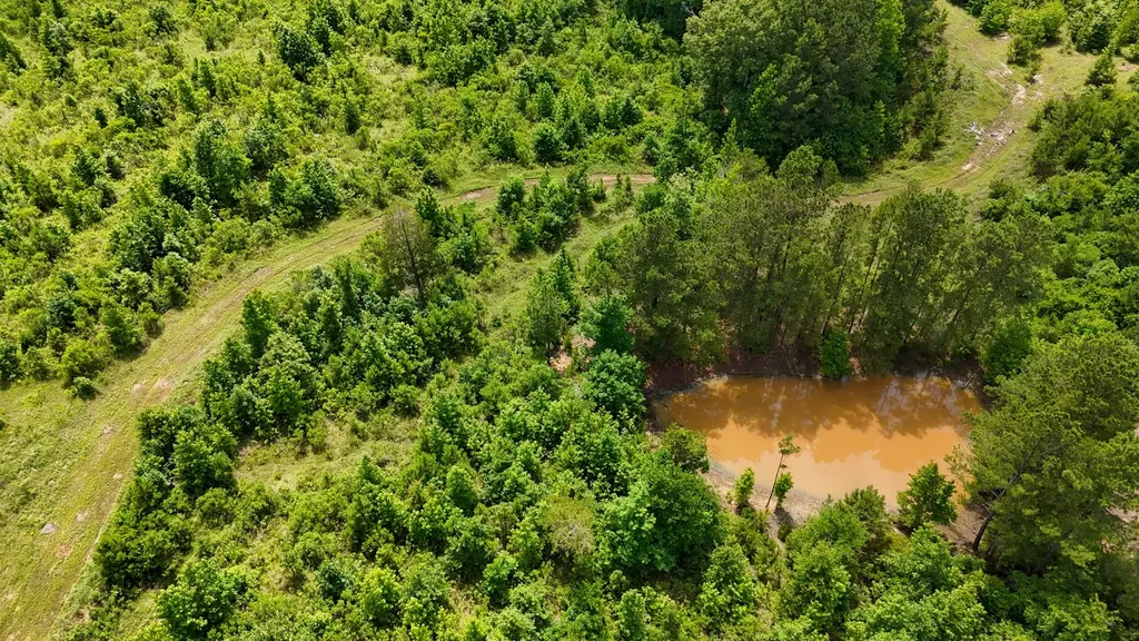 000 Avinger Cutoff Road Avinger TX 75630
