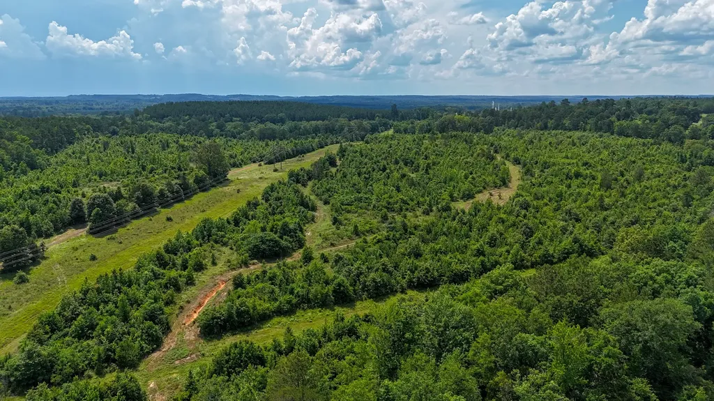 000 Avinger Cutoff Road Avinger TX 75630