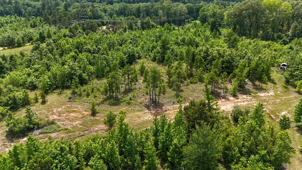 000 Avinger Cutoff Road Avinger TX 75630
