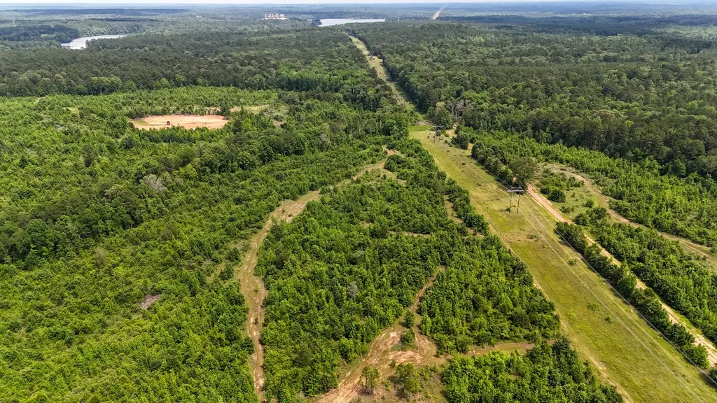 000 Avinger Cutoff Road Avinger TX 75630