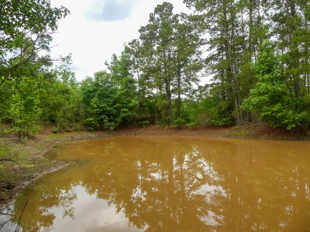 000 Avinger Cutoff Road Avinger TX 75630