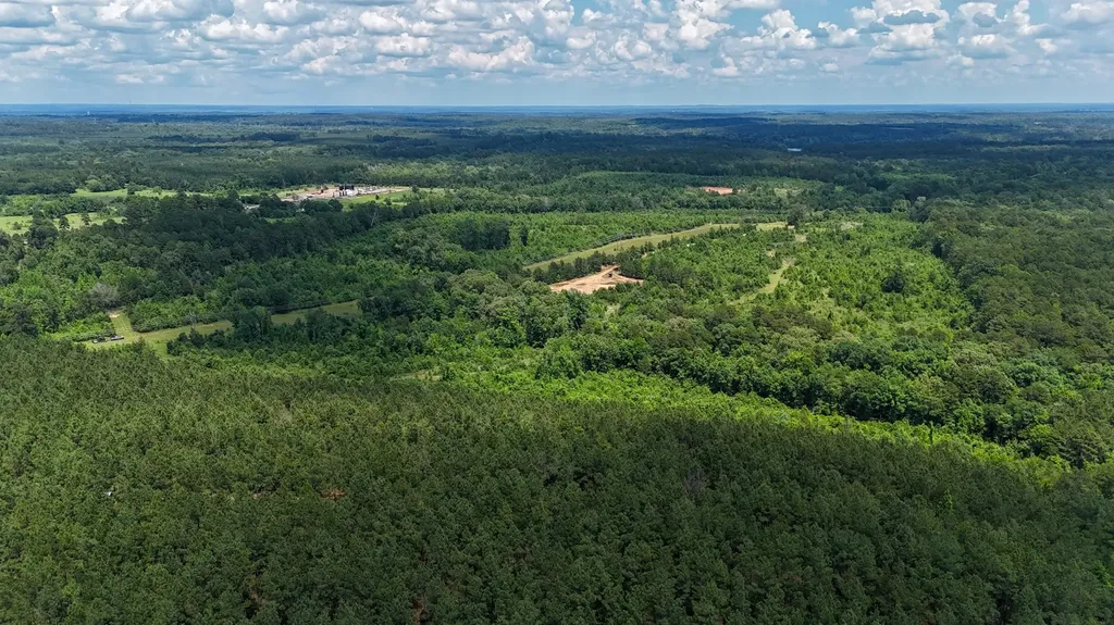 000 Avinger Cutoff Road Avinger TX 75630