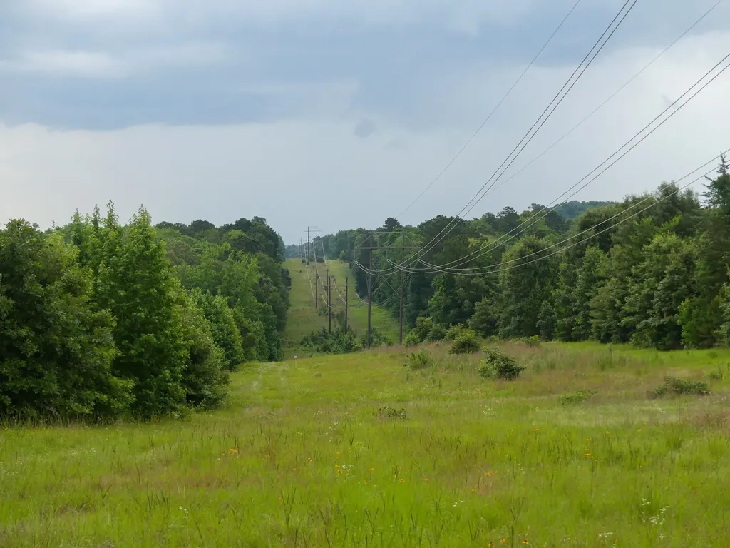 000 Avinger Cutoff Road Avinger TX 75630