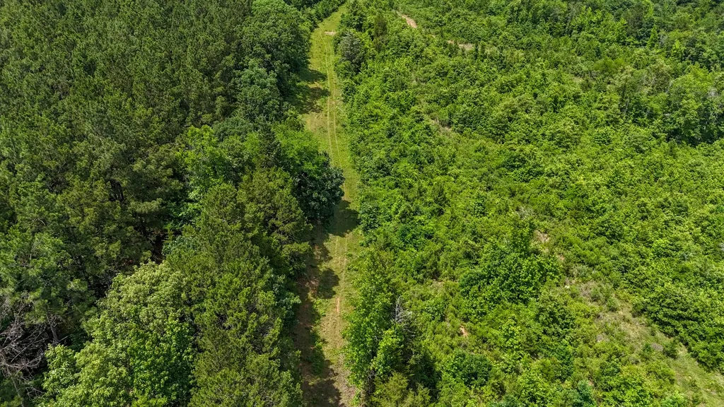 000 Avinger Cutoff Road Avinger TX 75630