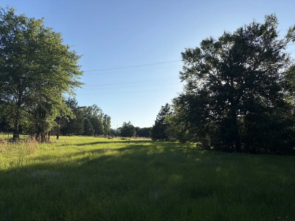 289 Fcr 261 Oakwood TX 75855