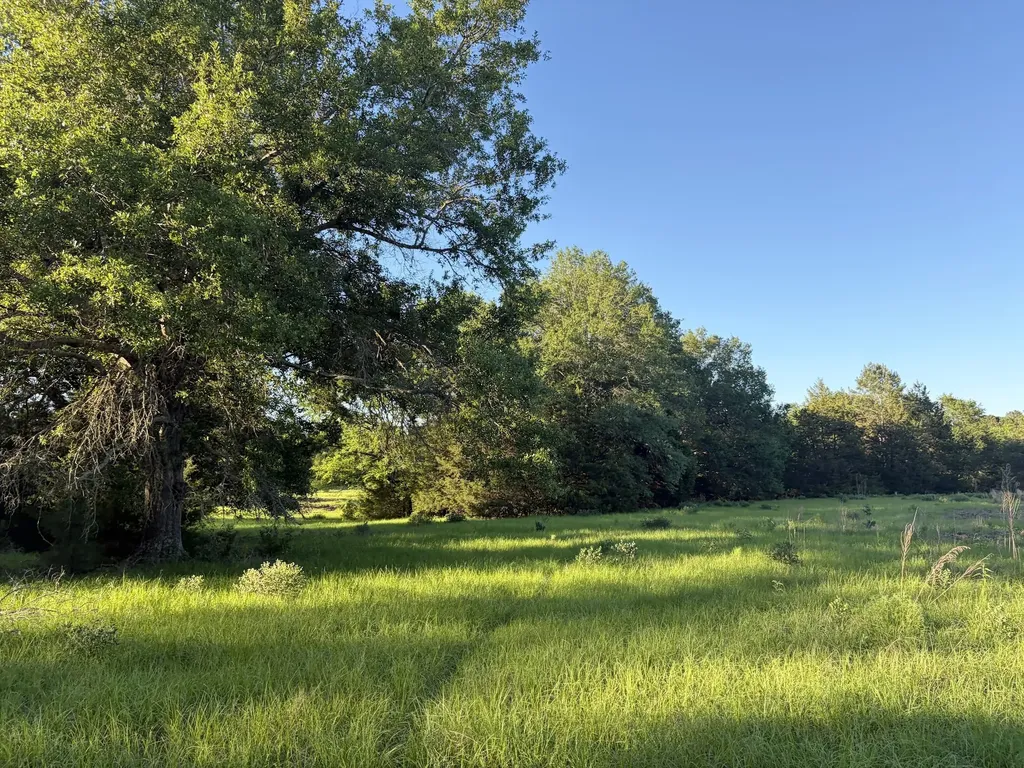 289 Fcr 261 Oakwood TX 75855