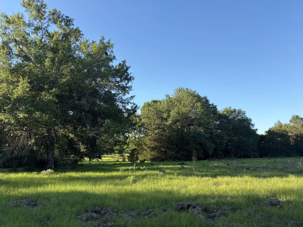 289 Fcr 261 Oakwood TX 75855